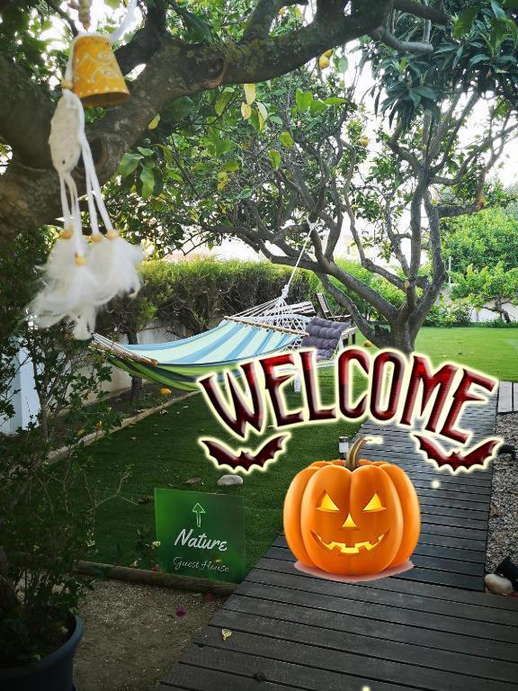 Nature Guesthouse Lagos Rom bilde